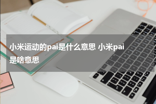 小米运动的pai是什么意思 小米pai是啥意思