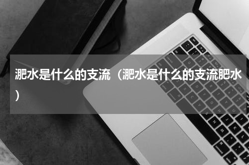 淝水是什么的支流（淝水是什么的支流肥水）