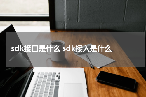 sdk接口是什么 sdk接入是什么