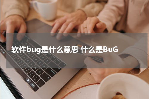 软件bug是什么意思 什么是BuG