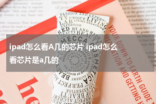 ipad怎么看A几的芯片 ipad怎么看芯片是a几的