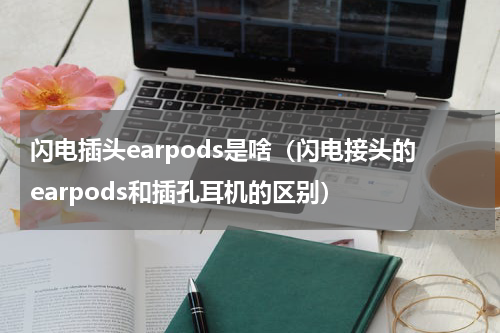 闪电插头earpods是啥（闪电接头的earpods和插孔耳机的区别）