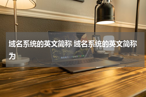 域名系统的英文简称 域名系统的英文简称为