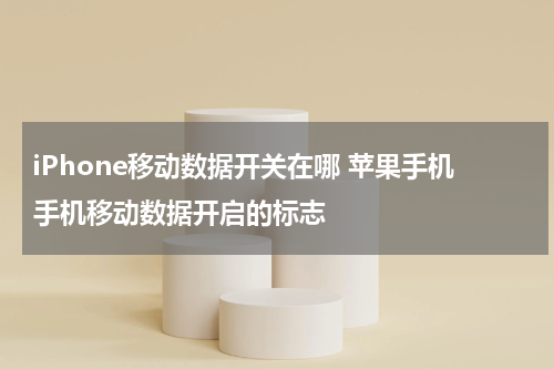 iPhone移动数据开关在哪 苹果手机手机移动数据开启的标志