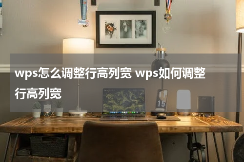 wps怎么调整行高列宽 wps如何调整行高列宽