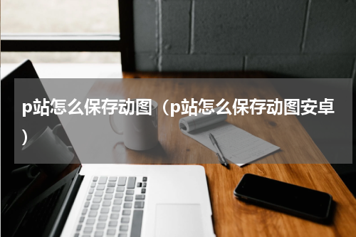 p站怎么保存动图（p站怎么保存动图安卓）