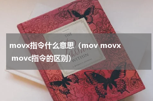 movx指令什么意思（mov movx movc指令的区别）