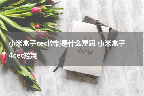 小米盒子cec控制是什么意思 小米盒子4cec控制
