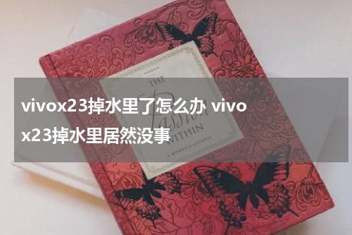 vivox23掉水里了怎么办 vivox23掉水里居然没事