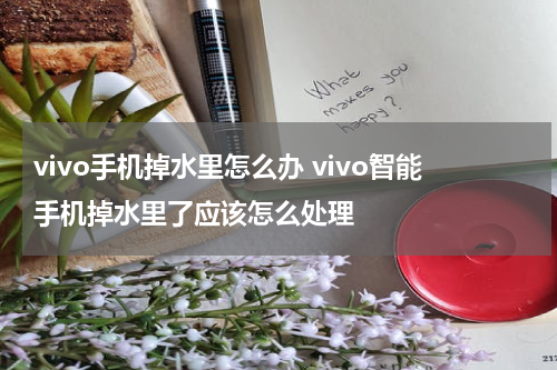 vivo手机掉水里怎么办 vivo智能手机掉水里了应该怎么处理