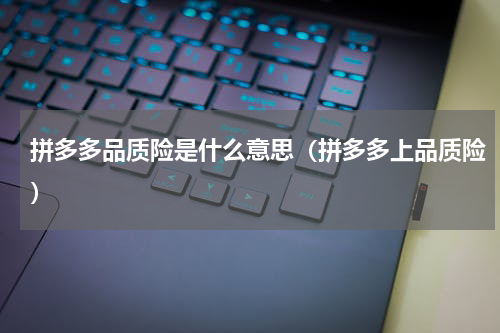 拼多多品质险是什么意思（拼多多上品质险）