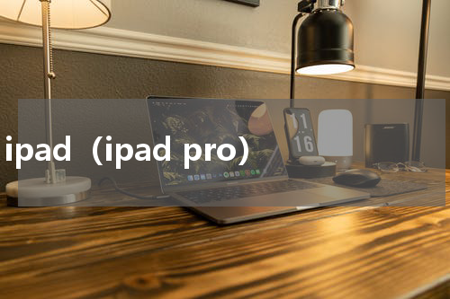 ipad（ipad pro）