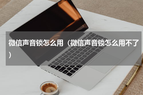 微信声音锁怎么用（微信声音锁怎么用不了）