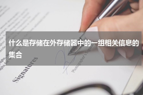 什么是存储在外存储器中的一组相关信息的集合