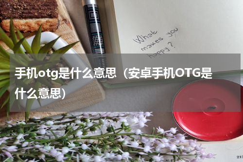 手机otg是什么意思（安卓手机OTG是什么意思）