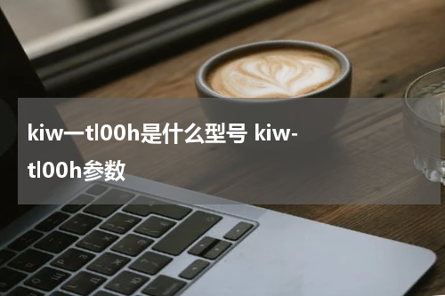 kiw一tl00h是什么型号 kiw-tl00h参数