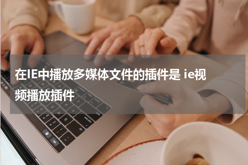 在IE中播放多媒体文件的插件是 ie视频播放插件