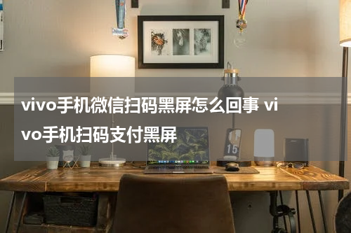 vivo手机微信扫码黑屏怎么回事 vivo手机扫码支付黑屏