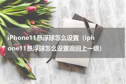 iPhone11悬浮球怎么设置（iphone11悬浮球怎么设置返回上一级）