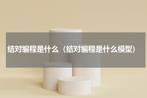 结对编程是什么（结对编程是什么模型）
