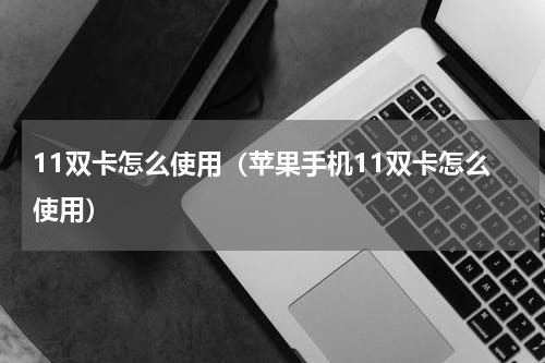 11双卡怎么使用（苹果手机11双卡怎么使用）