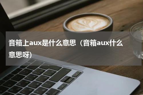 音箱上aux是什么意思（音箱aux什么意思呀）