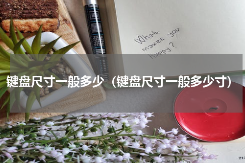 键盘尺寸一般多少（键盘尺寸一般多少寸）