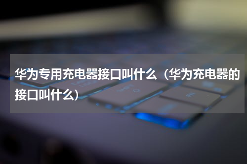 华为专用充电器接口叫什么（华为充电器的接口叫什么）