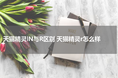 天猫精灵lN与R区别 天猫精灵r怎么样