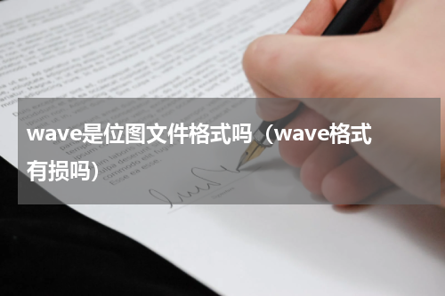 wave是位图文件格式吗（wave格式有损吗）