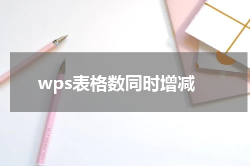 wps表格数同时增减