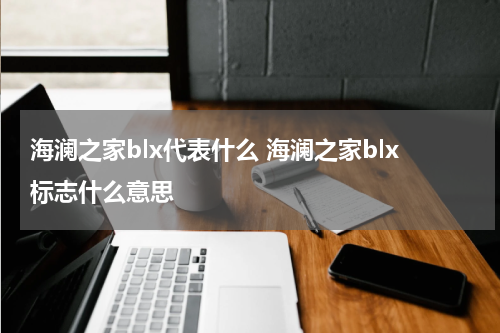 海澜之家blx代表什么 海澜之家blx标志什么意思