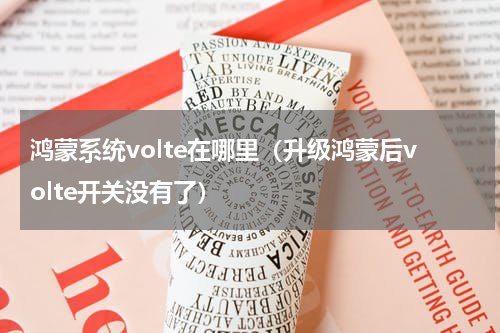 鸿蒙系统volte在哪里（升级鸿蒙后volte开关没有了）