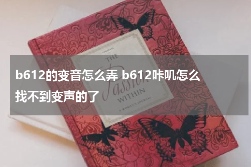 b612的变音怎么弄 b612咔叽怎么找不到变声的了
