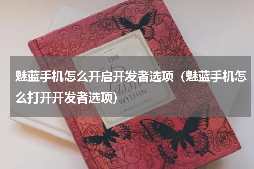 魅蓝手机怎么开启开发者选项（魅蓝手机怎么打开开发者选项）