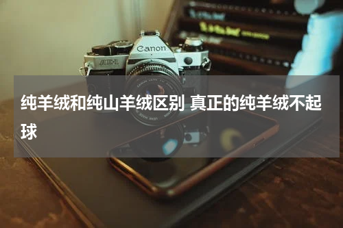 纯羊绒和纯山羊绒区别 真正的纯羊绒不起球