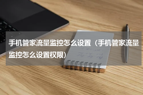 手机管家流量监控怎么设置（手机管家流量监控怎么设置权限）
