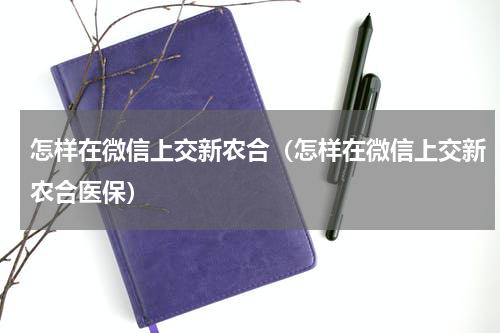 怎样在微信上交新农合（怎样在微信上交新农合医保）