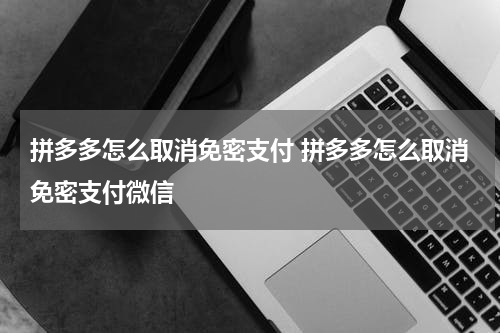 拼多多怎么取消免密支付 拼多多怎么取消免密支付微信