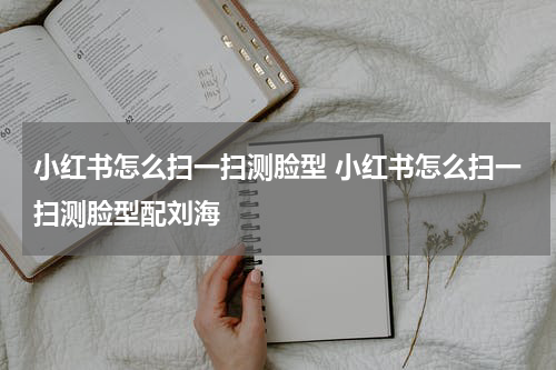 小红书怎么扫一扫测脸型 小红书怎么扫一扫测脸型配刘海