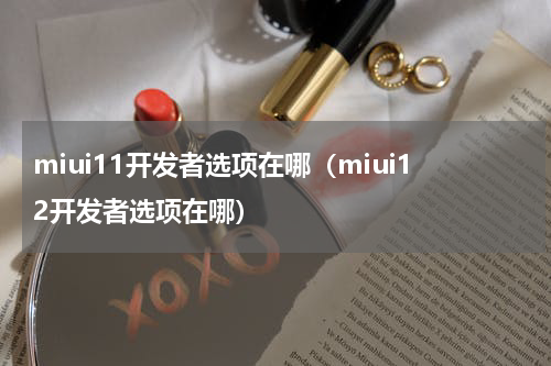 miui11开发者选项在哪（miui12开发者选项在哪）