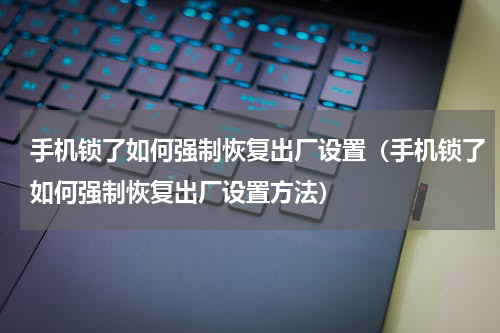 手机锁了如何强制恢复出厂设置（手机锁了如何强制恢复出厂设置方法）