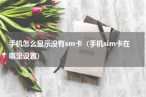 手机怎么显示没有sm卡（手机sim卡在哪里设置）