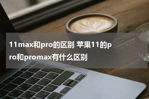 11max和pro的区别 苹果11的pro和promax有什么区别