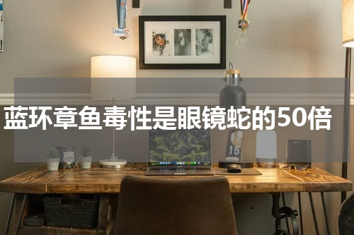 蓝环章鱼毒性是眼镜蛇的50倍