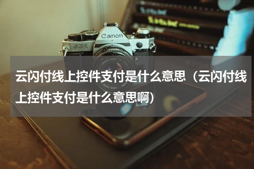 云闪付线上控件支付是什么意思（云闪付线上控件支付是什么意思啊）