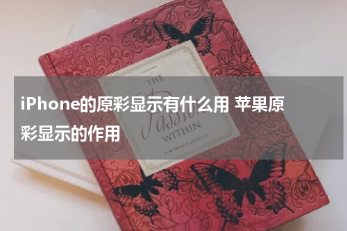 iPhone的原彩显示有什么用 苹果原彩显示的作用