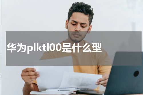 华为plktl00是什么型