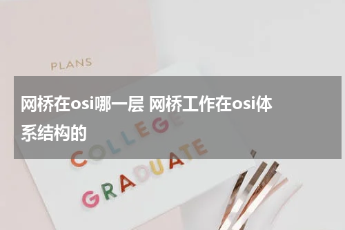 网桥在osi哪一层 网桥工作在osi体系结构的