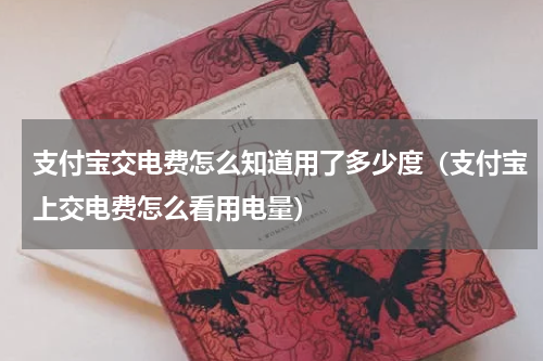 支付宝交电费怎么知道用了多少度（支付宝上交电费怎么看用电量）